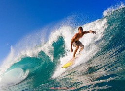 足球直播-皇马欧冠赛程回顾与赛季亮点分析