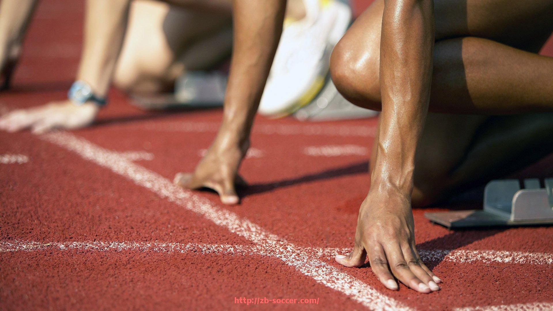 足球直播-健身器材产品:各类健身器材产品介绍